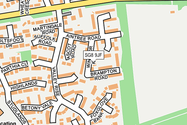 SG8 9JF map - OS OpenMap – Local (Ordnance Survey)