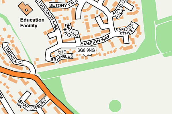 SG8 9NG map - OS OpenMap – Local (Ordnance Survey)