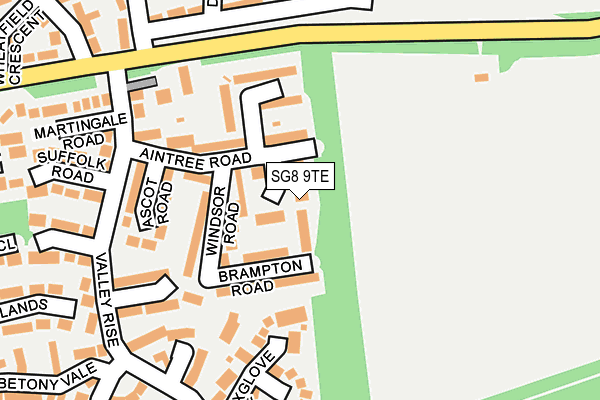 SG8 9TE map - OS OpenMap – Local (Ordnance Survey)