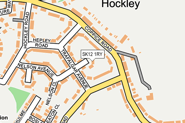 SK12 1RY map - OS OpenMap – Local (Ordnance Survey)