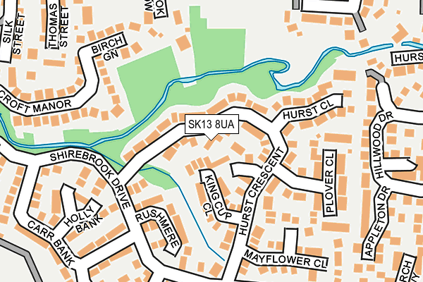 SK13 8UA map - OS OpenMap – Local (Ordnance Survey)