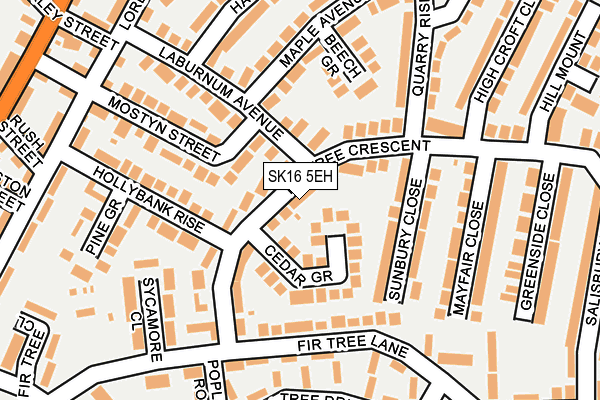 SK16 5EH map - OS OpenMap – Local (Ordnance Survey)