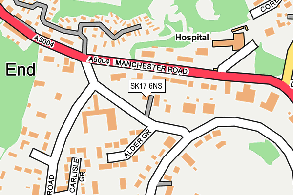 SK17 6NS map - OS OpenMap – Local (Ordnance Survey)