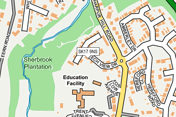 SK17 9NS map - OS OpenMap – Local (Ordnance Survey)