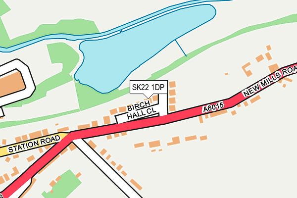 SK22 1DP map - OS OpenMap – Local (Ordnance Survey)