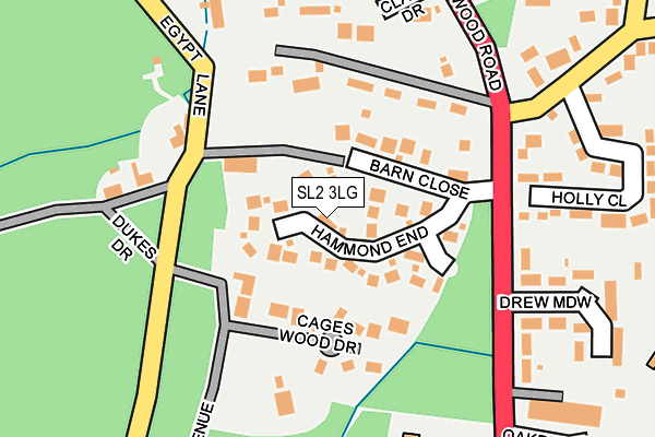 SL2 3LG map - OS OpenMap – Local (Ordnance Survey)