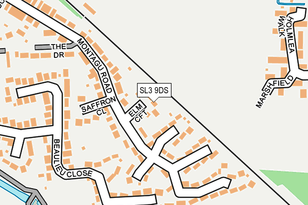 SL3 9DS map - OS OpenMap – Local (Ordnance Survey)
