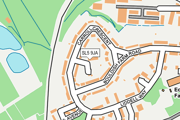 SL5 9JA map - OS OpenMap – Local (Ordnance Survey)