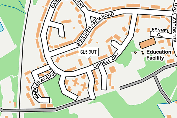 SL5 9UT map - OS OpenMap – Local (Ordnance Survey)