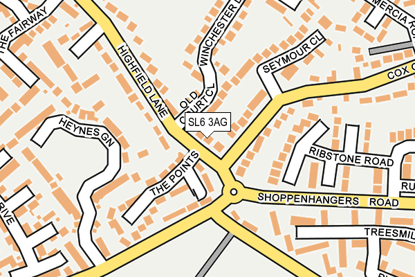 SL6 3AG map - OS OpenMap – Local (Ordnance Survey)