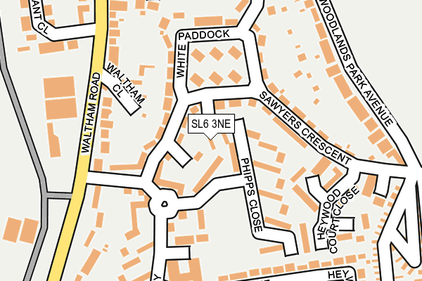 SL6 3NE map - OS OpenMap – Local (Ordnance Survey)