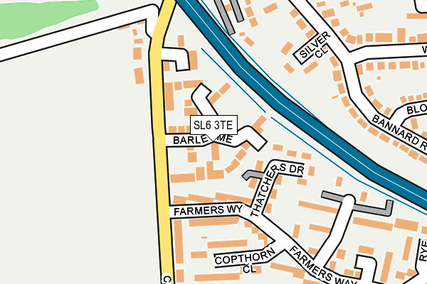SL6 3TE map - OS OpenMap – Local (Ordnance Survey)