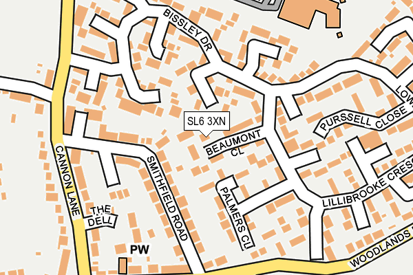 SL6 3XN map - OS OpenMap – Local (Ordnance Survey)