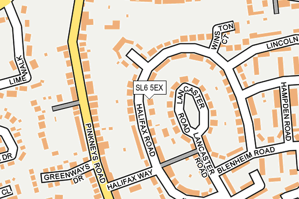 SL6 5EX map - OS OpenMap – Local (Ordnance Survey)