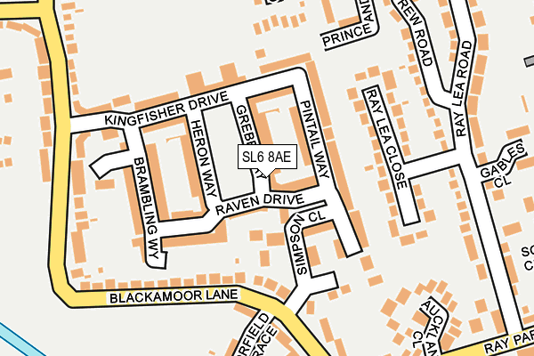 SL6 8AE map - OS OpenMap – Local (Ordnance Survey)