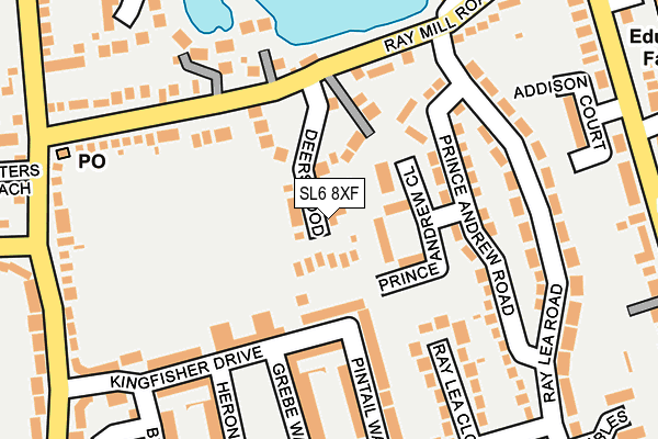 SL6 8XF map - OS OpenMap – Local (Ordnance Survey)
