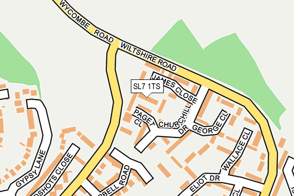 SL7 1TS map - OS OpenMap – Local (Ordnance Survey)