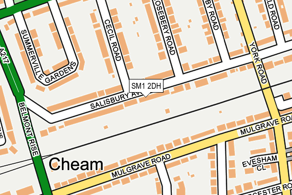 SM1 2DH map - OS OpenMap – Local (Ordnance Survey)