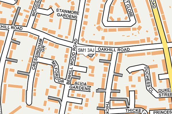 SM1 3AJ map - OS OpenMap – Local (Ordnance Survey)