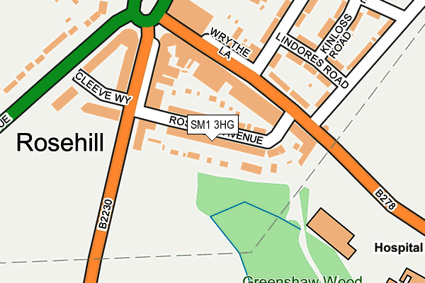 SM1 3HG map - OS OpenMap – Local (Ordnance Survey)