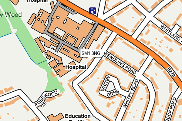 SM1 3NG map - OS OpenMap – Local (Ordnance Survey)