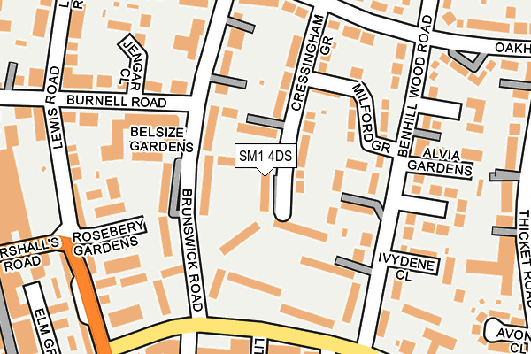 SM1 4DS map - OS OpenMap – Local (Ordnance Survey)