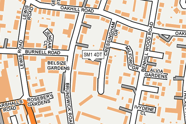 SM1 4DT map - OS OpenMap – Local (Ordnance Survey)