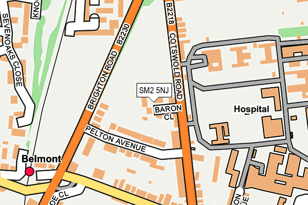 SM2 5NJ map - OS OpenMap – Local (Ordnance Survey)