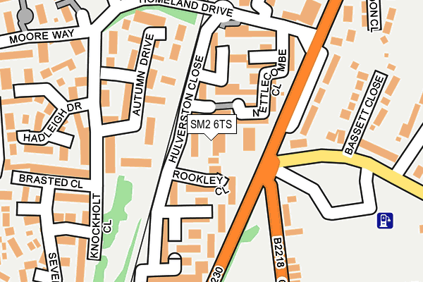 SM2 6TS map - OS OpenMap – Local (Ordnance Survey)