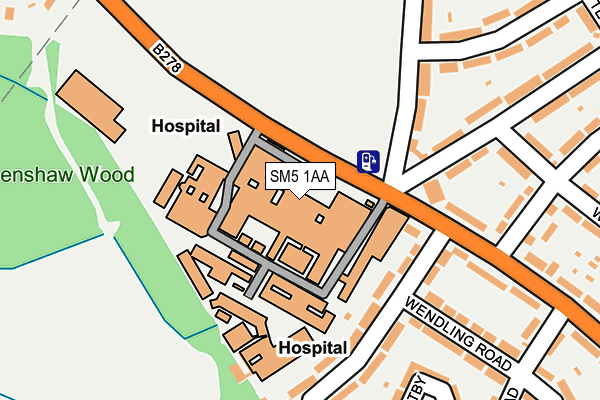 SM5 1AA map - OS OpenMap – Local (Ordnance Survey)