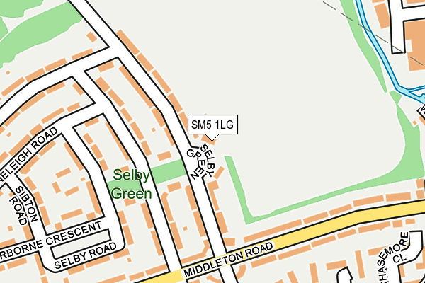 SM5 1LG map - OS OpenMap – Local (Ordnance Survey)