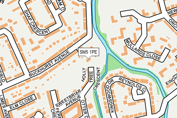 SM5 1PE map - OS OpenMap – Local (Ordnance Survey)