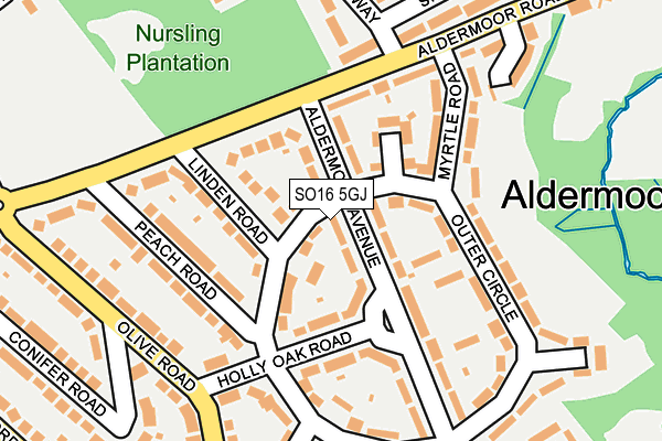 SO16 5GJ map - OS OpenMap – Local (Ordnance Survey)