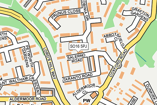 SO16 5PJ map - OS OpenMap – Local (Ordnance Survey)
