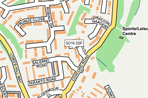 SO16 5SP map - OS OpenMap – Local (Ordnance Survey)