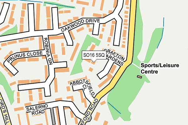 SO16 5SQ map - OS OpenMap – Local (Ordnance Survey)