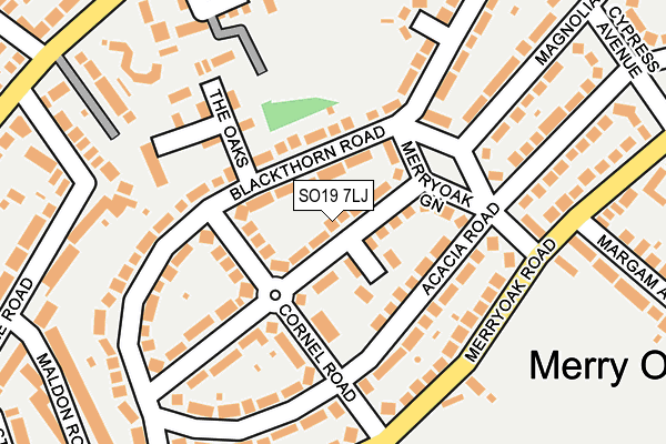 SO19 7LJ map - OS OpenMap – Local (Ordnance Survey)