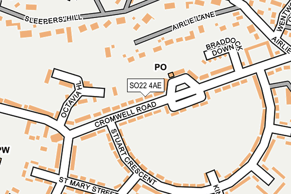 SO22 4AE map - OS OpenMap – Local (Ordnance Survey)