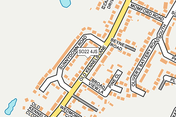 SO22 4JS map - OS OpenMap – Local (Ordnance Survey)