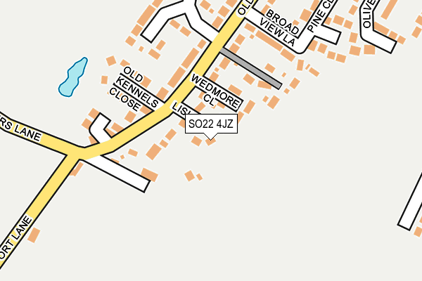 SO22 4JZ map - OS OpenMap – Local (Ordnance Survey)