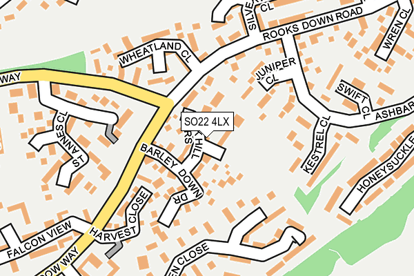 SO22 4LX map - OS OpenMap – Local (Ordnance Survey)