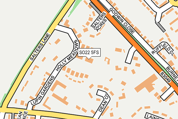 SO22 5FS map - OS OpenMap – Local (Ordnance Survey)