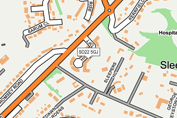 SO22 5GJ map - OS OpenMap – Local (Ordnance Survey)