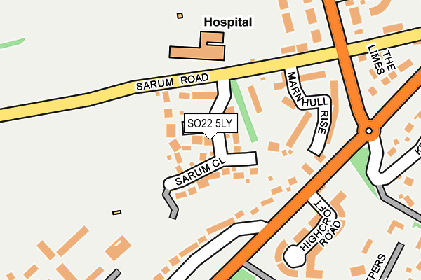 SO22 5LY map - OS OpenMap – Local (Ordnance Survey)