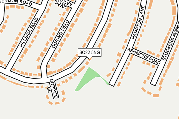 SO22 5NG map - OS OpenMap – Local (Ordnance Survey)