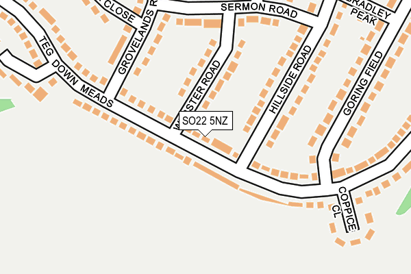 SO22 5NZ map - OS OpenMap – Local (Ordnance Survey)