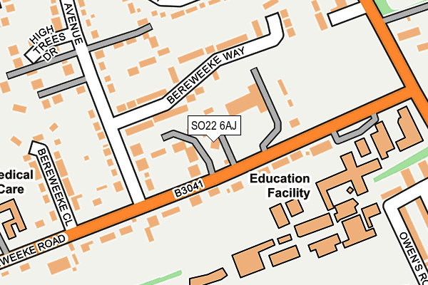 SO22 6AJ map - OS OpenMap – Local (Ordnance Survey)