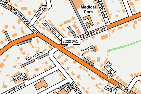 SO22 6AQ map - OS OpenMap – Local (Ordnance Survey)