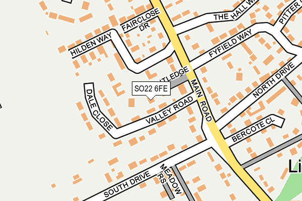 SO22 6FE map - OS OpenMap – Local (Ordnance Survey)