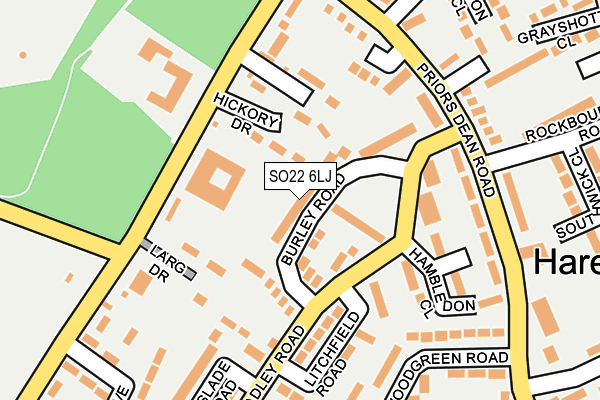 SO22 6LJ map - OS OpenMap – Local (Ordnance Survey)